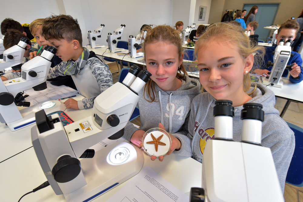 Vorschaubild von Kindertage der Mikroskopie Jena 2019