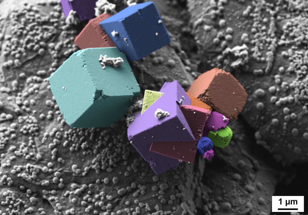 Preview image of 2nd place: Fluorides on an anode surface of a Li-ion battery