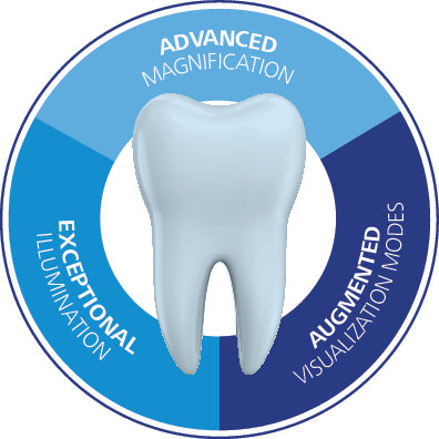 Anteprima immagine di Dentistry Infographic Enhanced Visualization EN