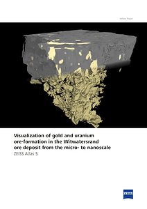 Vorschaubild von Visualization of gold and uranium ore-formation in the Witwatersrand ore deposit from the micro- to nanoscale