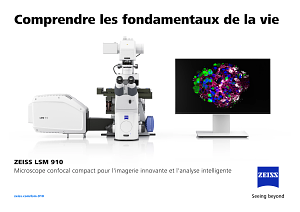 Image d’aperçu de Comprendre les fondamentaux de la vie