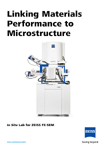 Preview image of In Situ Lab for ZEISS FE-SEM (Flyer)