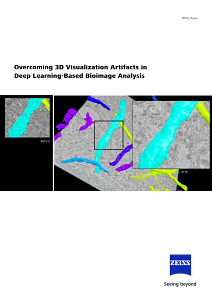 Image d’aperçu de Overcoming 3D Visualization Artifacts in Deep Learning-Based Bioimage Analysis