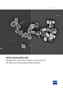ZEISS GeminiSEM 500的预览图像