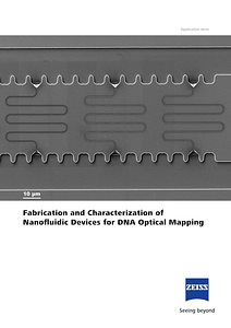 Vorschaubild von Fabrication and Characterization of Nanofluidic Devices for DNA Optical Mapping