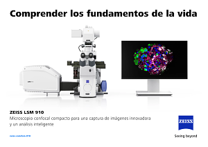 Vista previa de imagen de Comprender los fundamentos de la vida