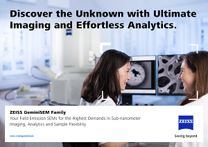 ZEISS GeminiSEM Family的预览图像