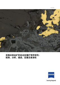 亚微米级金矿的自动定量矿物学研究：的预览图像
