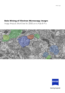 Vista previa de imagen de Data Mining of Electron Microscopy Images