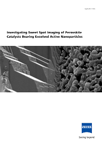 Image d’aperçu de Investigating Sweet Spot Imaging of Perovskite Catalysts Bearing Exsolved Active Nanoparticles