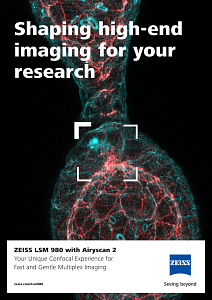 Preview image of Flyer: ZEISS LSM 980 with Airyscan 2