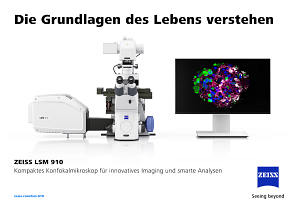 Vorschaubild von Die Grundlagen des Lebens verstehen