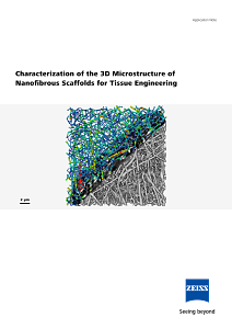 Image d’aperçu de Characterization of the 3D Microstructure of Nanofibrous Scaffolds for Tissue Engineering