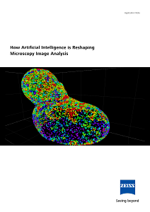Vorschaubild von How Artificial Intelligence is Reshaping Microscopy Image Analysis