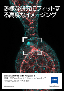 ZEISS LSM 980 with Airyscan 2 - Flyerのプレビュー画像