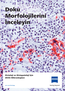 Preview image of Doku Morfolojilerini İnceleyin