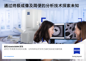 蔡司GeminiSEM 系列的预览图像