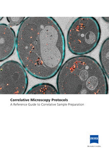 Correlative Microscopy Protocolsのプレビュー画像