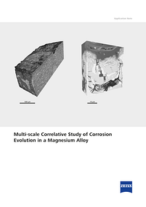 Vorschaubild von Multi-scale Correlative Study of Corrosion Evolution in a Magnesium Alloy
