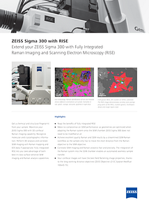 Preview image of ZEISS Sigma 300 with RISE