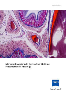 Vorschaubild von Microscopic Anatomy in the Study of Medicine