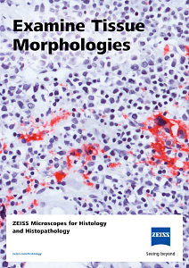 Vista previa de imagen de ZEISS Microscopes for Histology