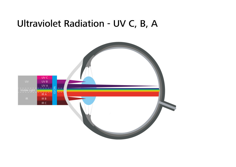 Preview image of Ultraviolet Radiation (without caption)